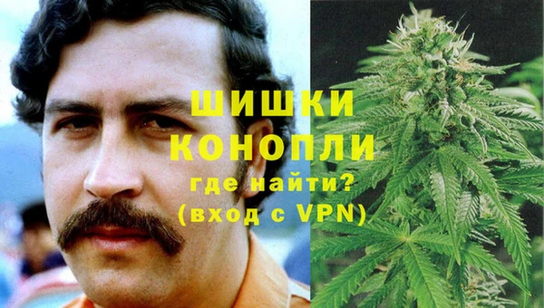 молекула духа Зеленокумск