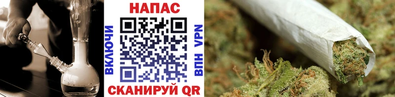 Купить где Курчалой Канабис Amnesia